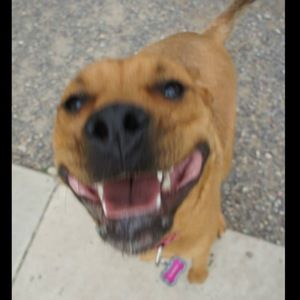 Meet your Posher, Susanne